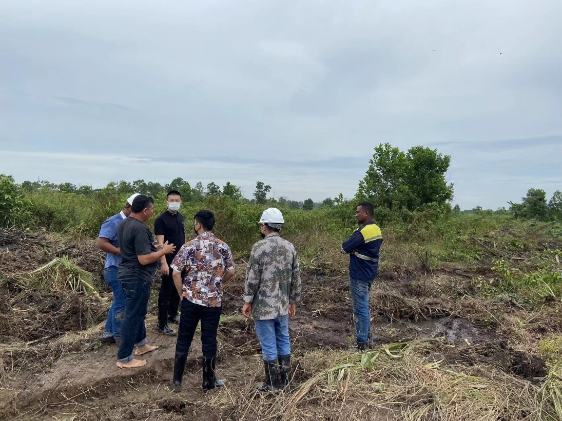 Top1体育官网-不凡成绩非凡,相信品牌的实力